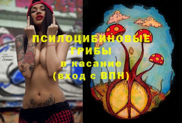 гидра Волоколамск