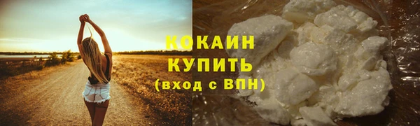 сатива Вязьма