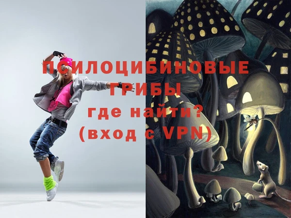 сатива Вязьма