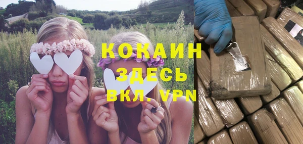 сатива Вязьма