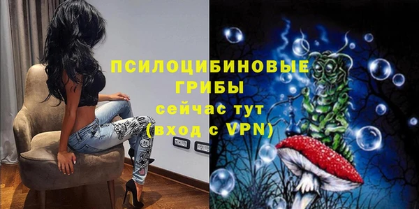 гидра Вязники