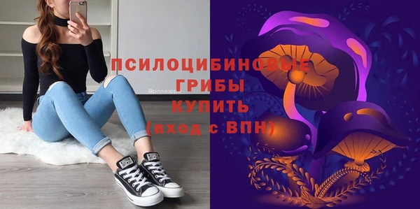 сатива Вязьма